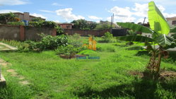 Terrain