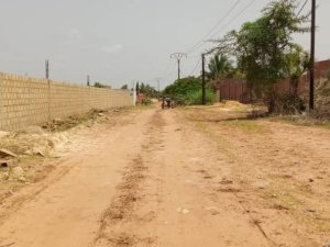 Terrain 6000 mètres carrés à Nguérigne