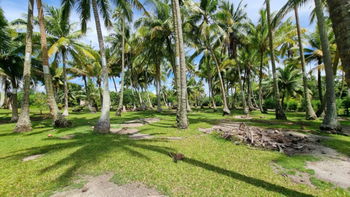 Vente Terrain 6168 M² Plat constructible Moorea-Maiao Polynésie Fran&amp;ccedil;aise