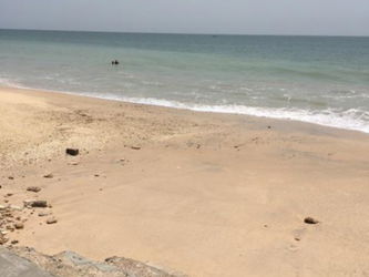 Annonce Vente Terrain 19315m2 pieds dans l&#039;eau yenn Dakar Sénégal