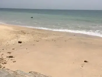 Annonce Vente Terrain 19315m2 pieds dans l&#039;eau yenn Dakar Sénégal