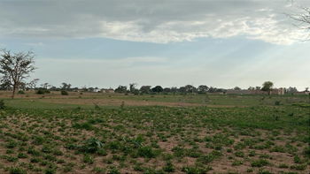 Terrain 300m2 à Malicounda