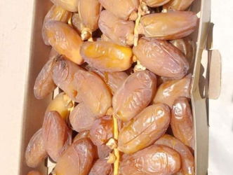 VENTE DATTES ALGERIENNE QUALITE SUPERIEURE Paris