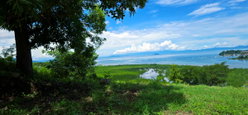 Vue 1