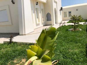 Villa piscine Pour location vacances Djerba Tunisie