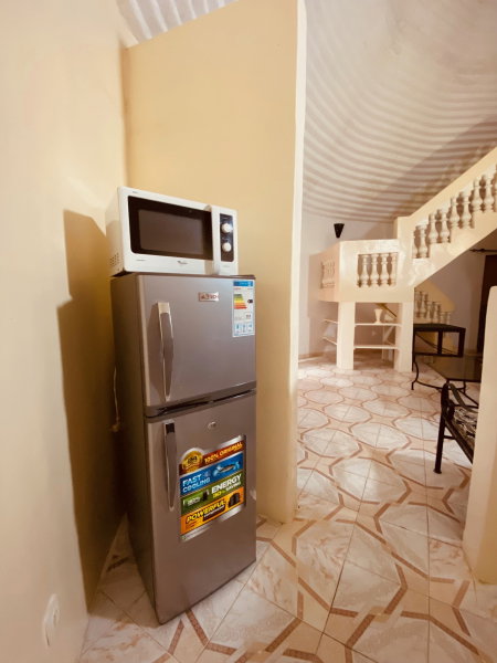 Refrigérateur congélateur micro-ondes