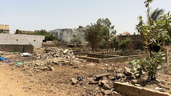 terrain  de 500 mètres carrés  à vendre à Mbour