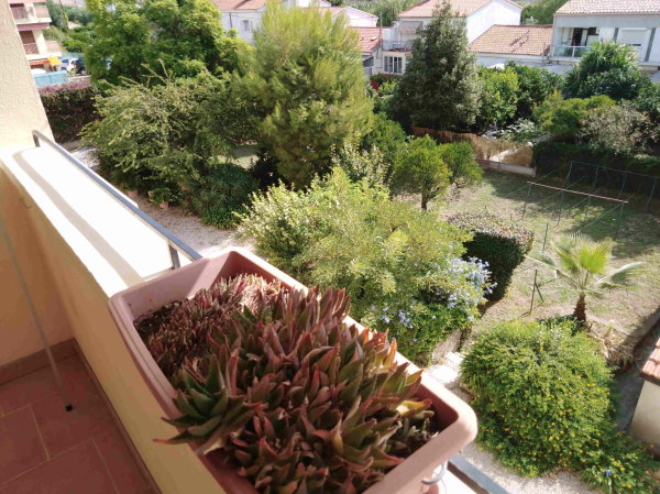 Vue Balcon sur parc