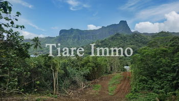Vente BAISSE PRIX ! TERRAIN 2090 m² constructible vue montagnes Polynésie Fran&amp;ccedil;aise