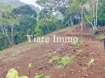 Vente Terrain Moorea-Maiao LOT Polynésie Fran&amp;ccedil;aise