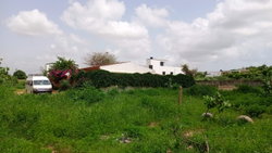 terrain 400 mètres carrés  à vendre à Saly