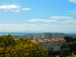 vue