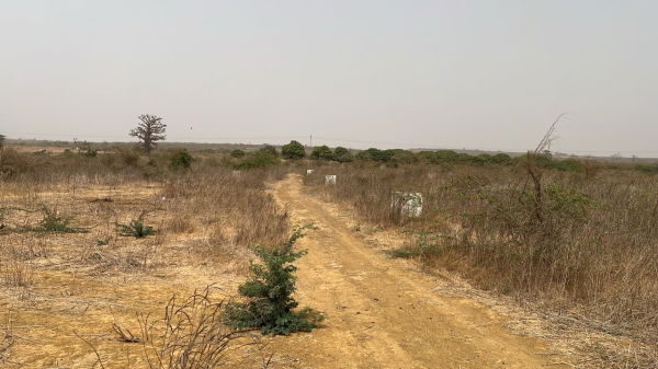 terrains 200 mètres carrés  à vendre à Ndayane