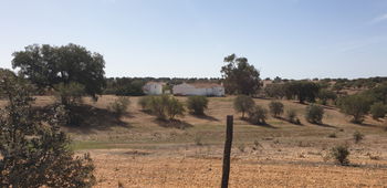 Vente Sud Portugal Baixo-Aentejo maison campagne 120000m2 étang