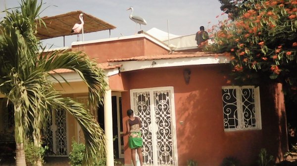 location tente mauritanienne toit Somone Sénégal