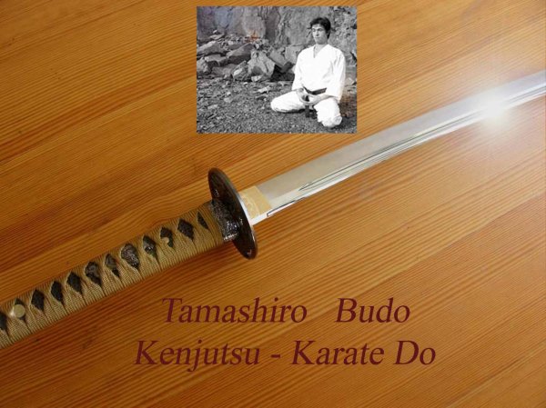 Kenjutsu_Katana