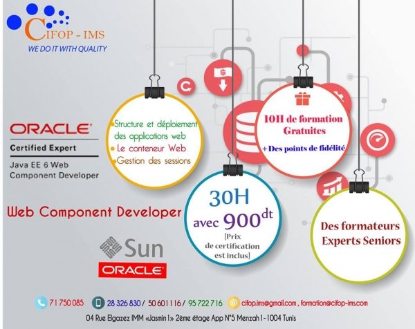 Formation Web component Tunis Tunisie