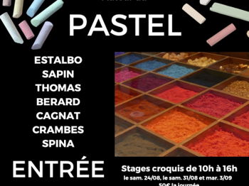 Annonce Exposition Pastel &quot;Autour Nature&quot; 23 août 5 septembre 2024 Vaucluse Ansouis