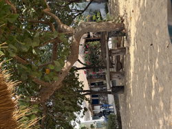 Plage privée