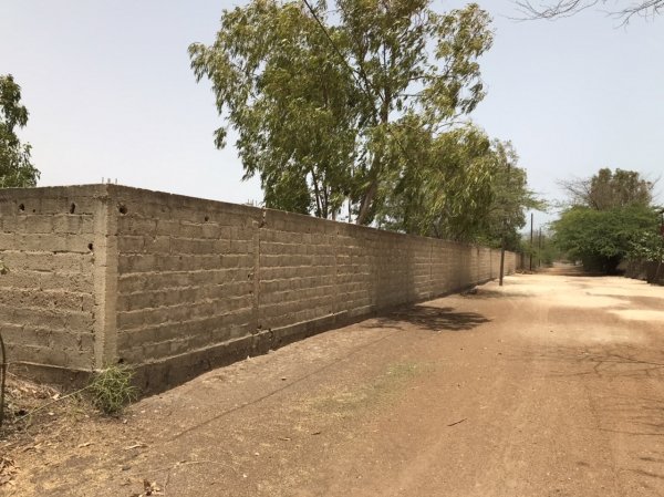 Vente Mbodiène | TF 3 hectares Mbodienne Sénégal