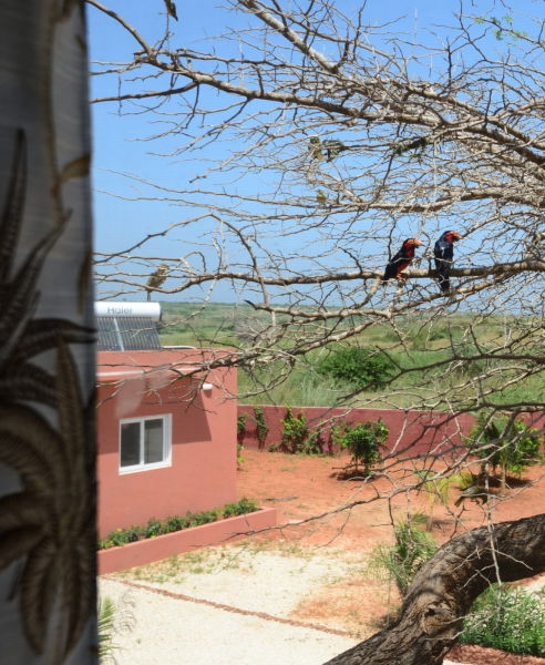 Belle vue de la résidence