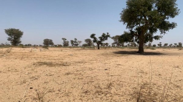 VENTE TERRAIN AGRICOLE Thies Sénégal