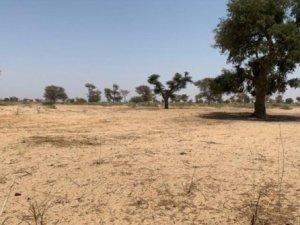 VENTE TERRAIN AGRICOLE Thies Sénégal