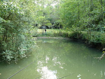 Etang 1