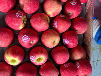 POMME