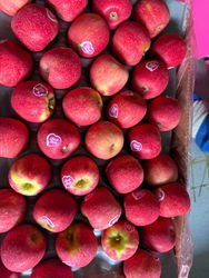 POMME