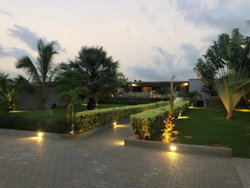 Jardin