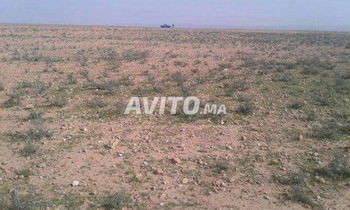 Vente agricole grande terrain titre 20 HECTAR disponible agadir tiznit