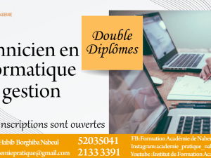 technicien informatique gestion Nabeul Tunisie