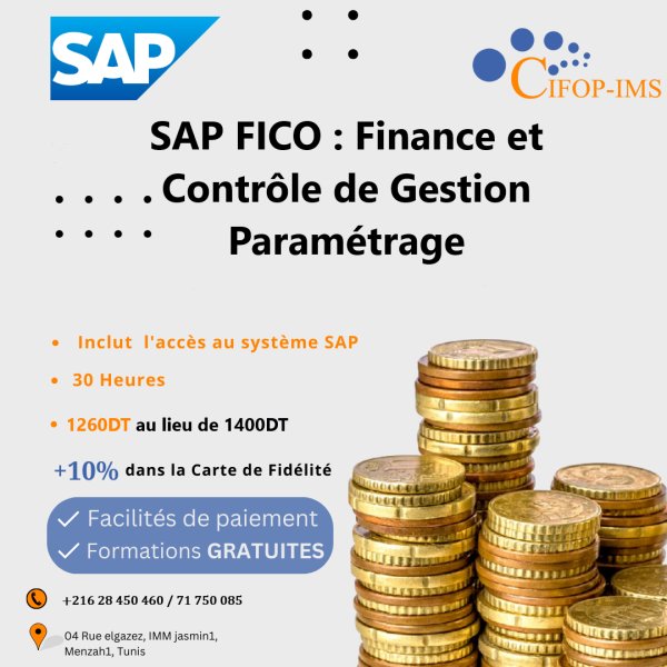 Annonce Formation SAP Fico Paramétrage Tunis Tunisie