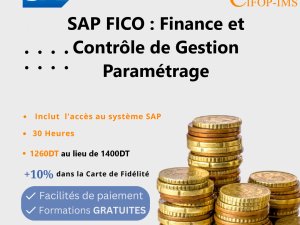 Annonce Formation SAP Fico Paramétrage Tunis Tunisie