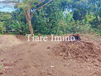 Vente Terrain – Lot 1136 m² Plat Rivière Naturelle Polynésie Fran&amp;ccedil;aise