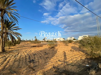 Vente Terrain 4 minutes plage Seguia Djerba Tunisie