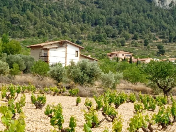 Vente finca casa entre alicante y murcia muy bonitas Albatera Espagne