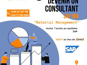 Formation SAP MM Material Management Tunis Tunisie