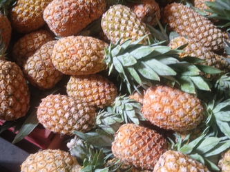 ananas