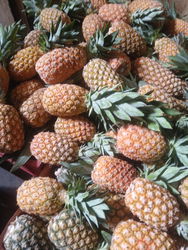 ananas