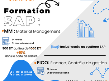 Pack SAP Fico MM {Métier} Tunis Tunisie