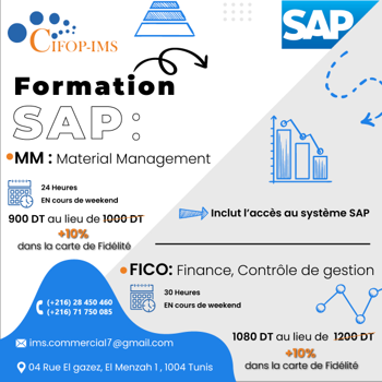 Pack SAP Fico MM {Métier} Tunis Tunisie