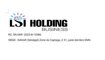 LSI Holding business