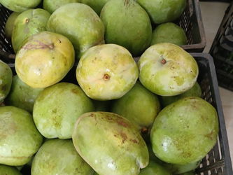 POMME