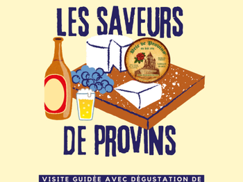 Affiche visite Saveurs de Provins