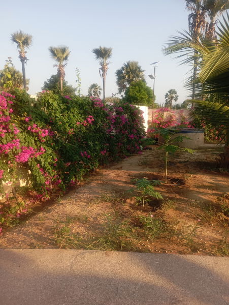 environnement maison