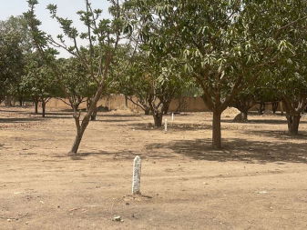 Vente terrain 250 metres carres saly Saly Portudal Sénégal