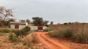 terrains 300 mètres carrés  à vendre à Guéréo