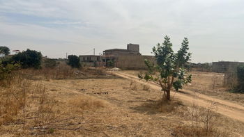 Terrain 500m2 à Gandigal Sud-ouest